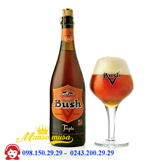 Bush Ambree 750 ml - Mansa Musa  - Nhà Phân Phối Rượu Bia Nhập Khẩu